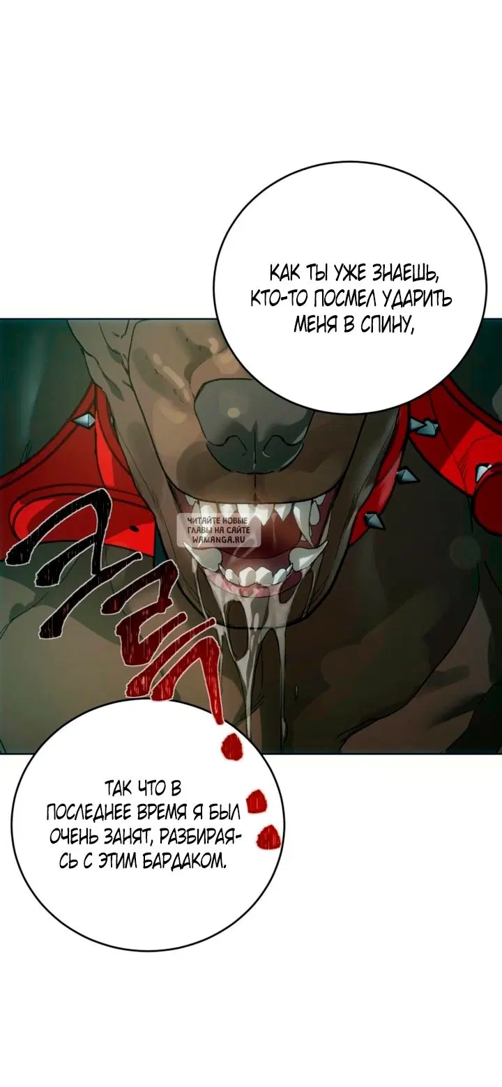 Page 20.000