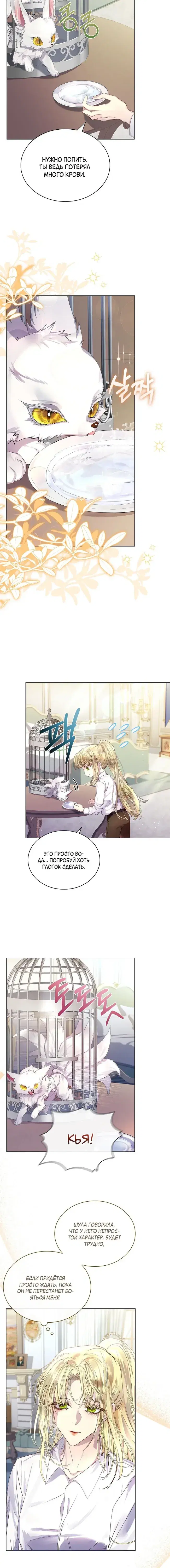 Page 5.001