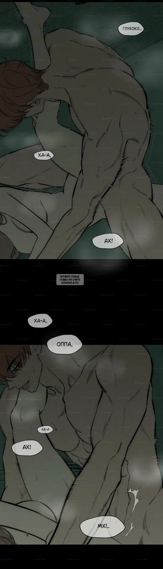Page 36.000