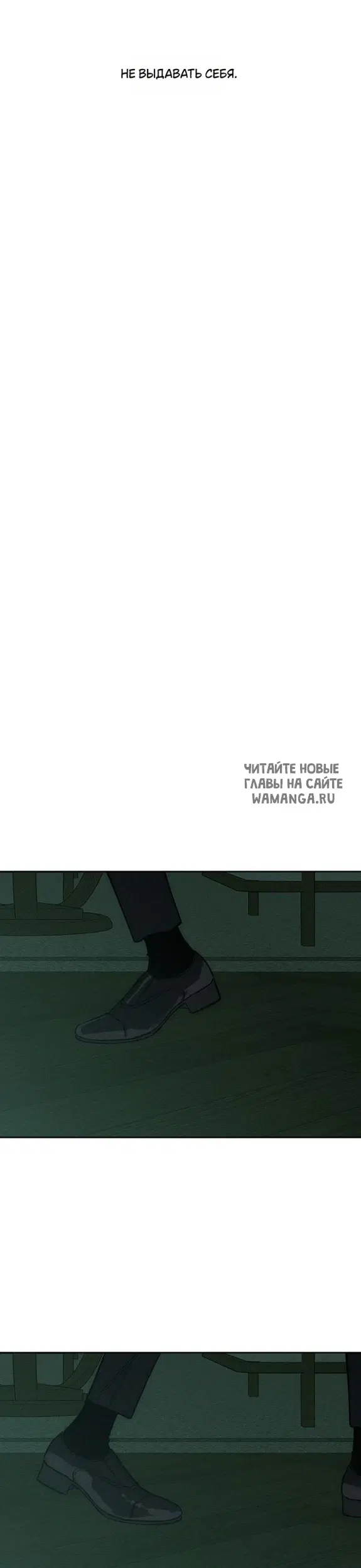 Page 41.000