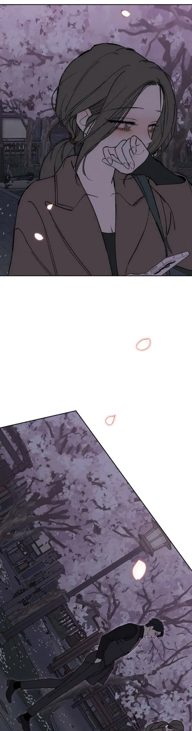 Page 41.000