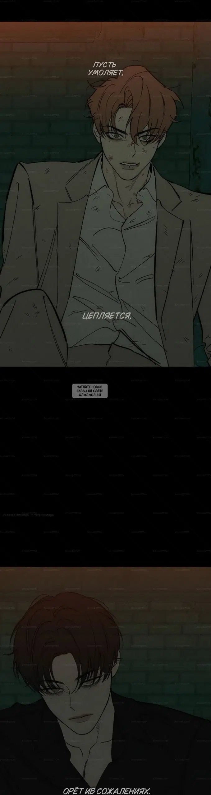 Page 55.000