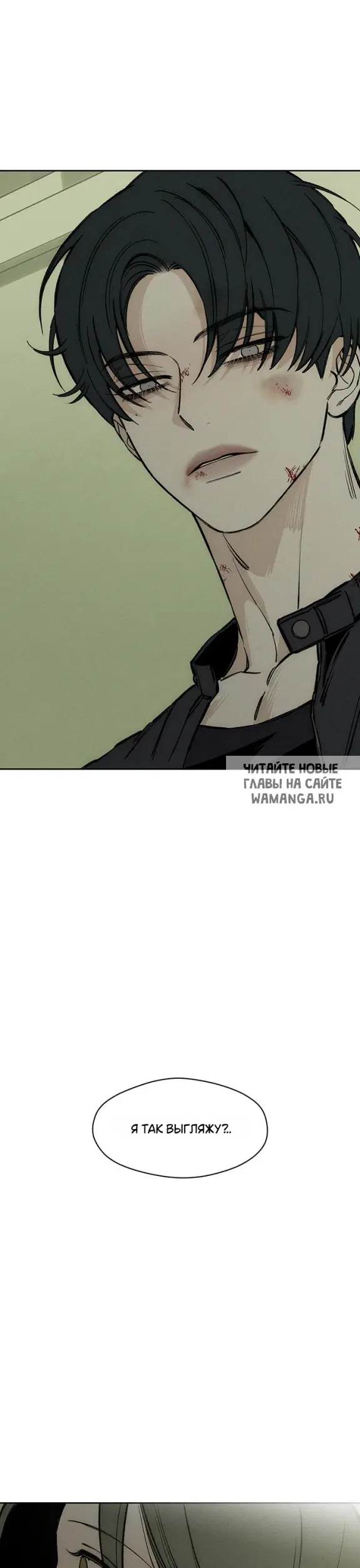 Page 50.000