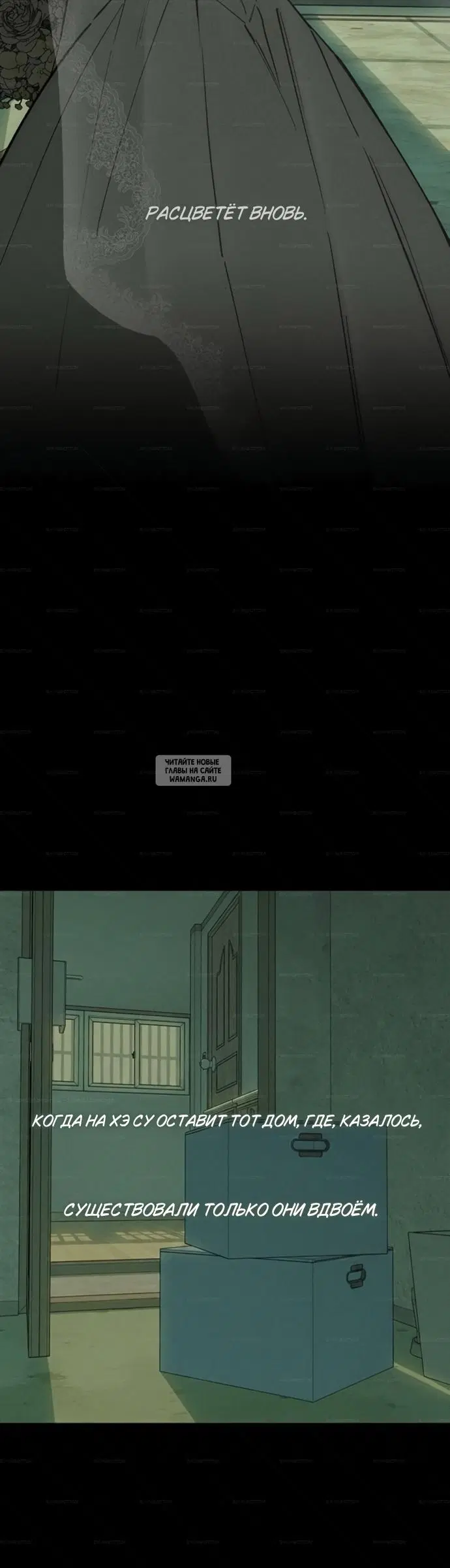 Page 51.000