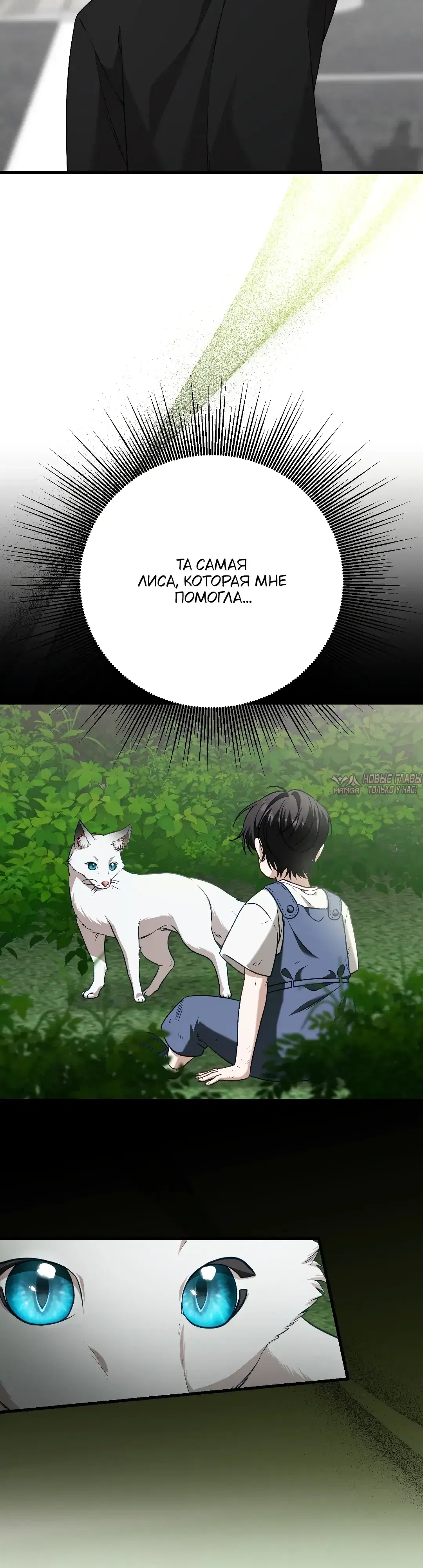 Page 36.000