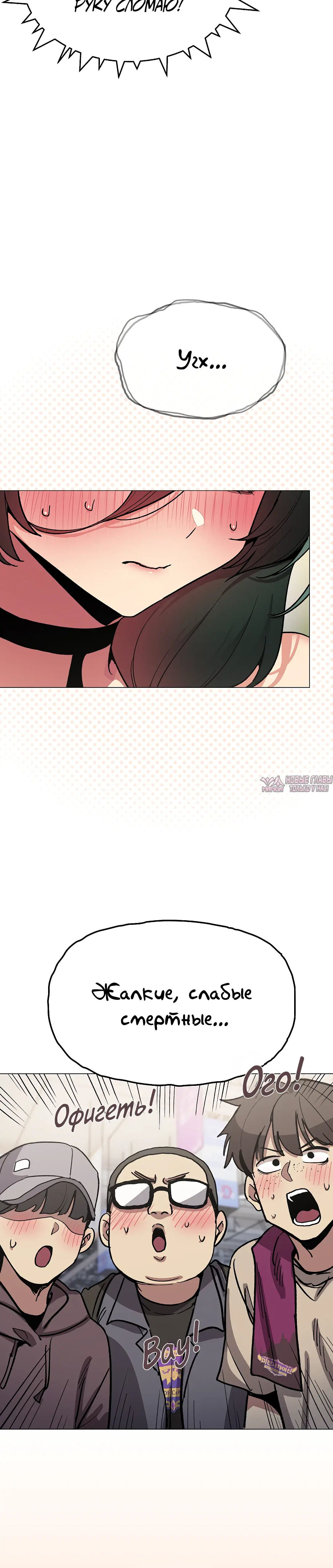 Page 8.000
