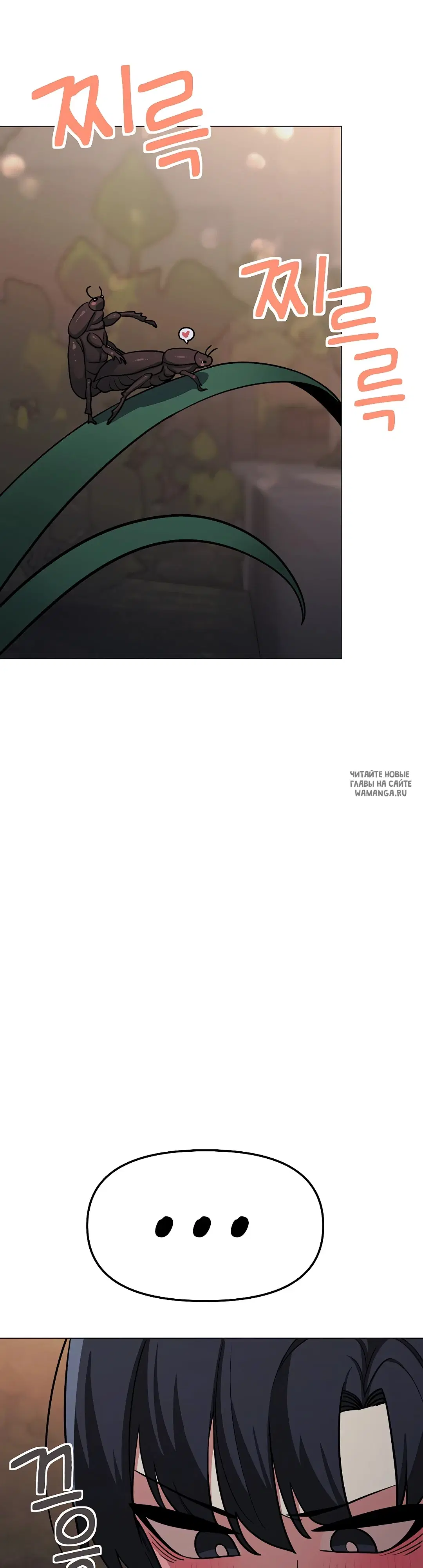 Page 27.000