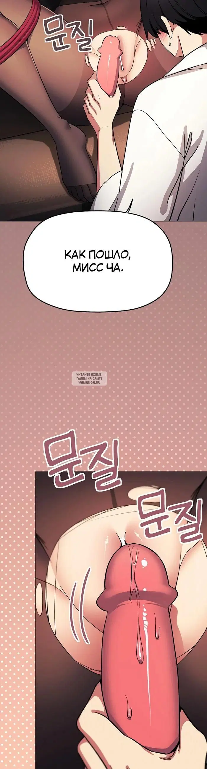 Page 31.000