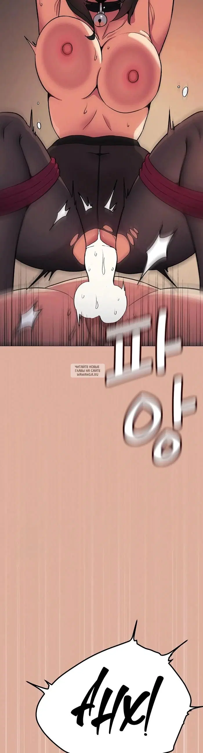 Page 31.000