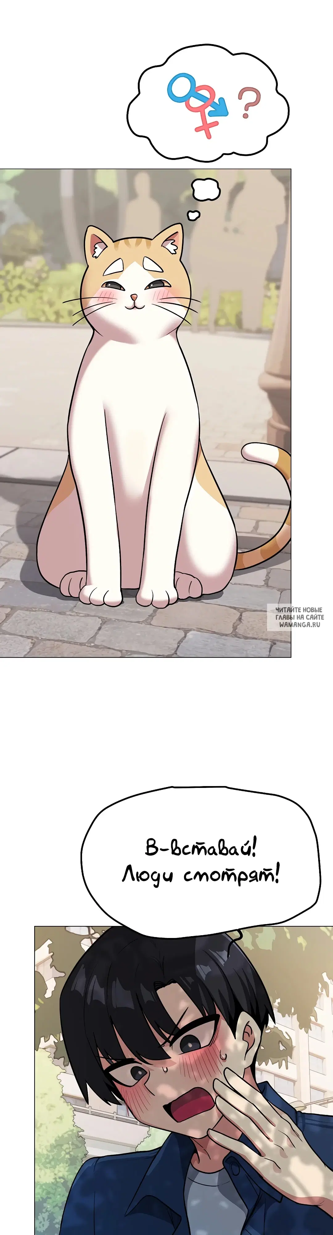 Page 33.000