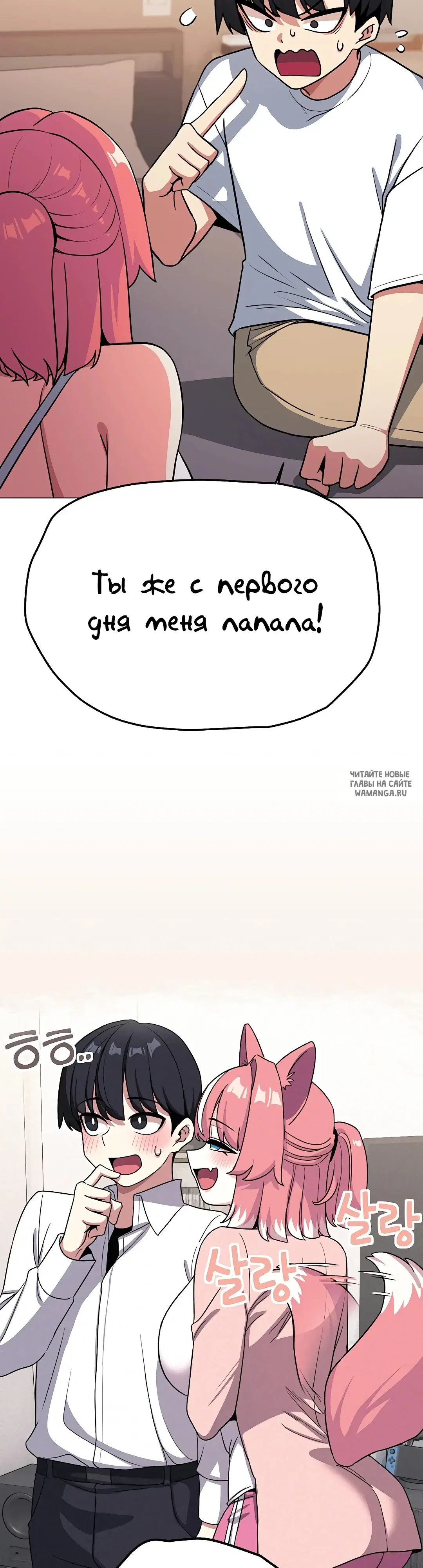 Page 49.000
