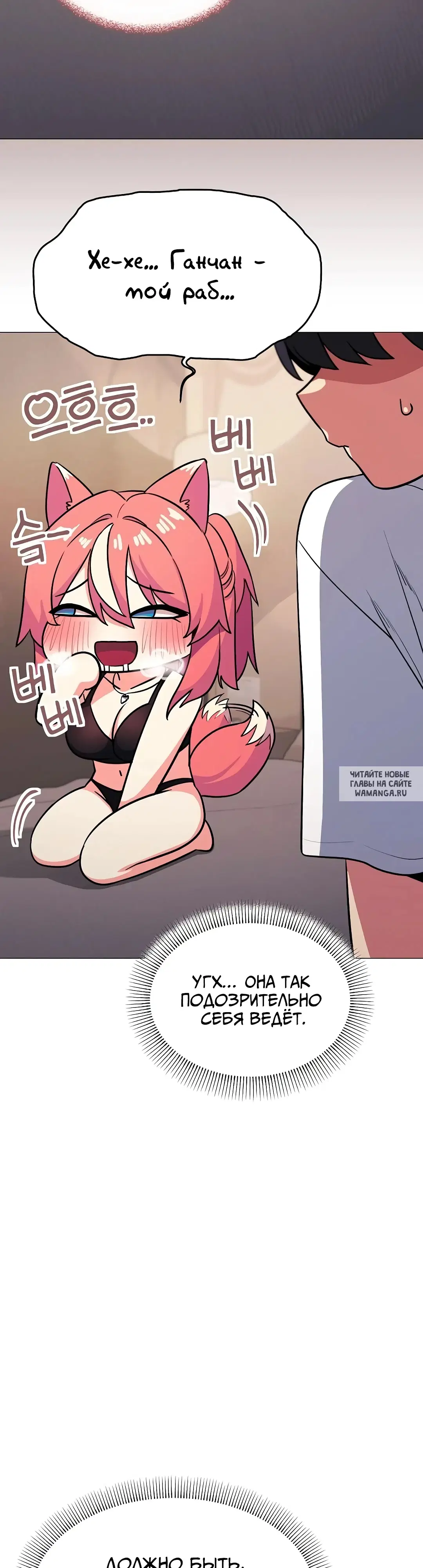 Page 41.000