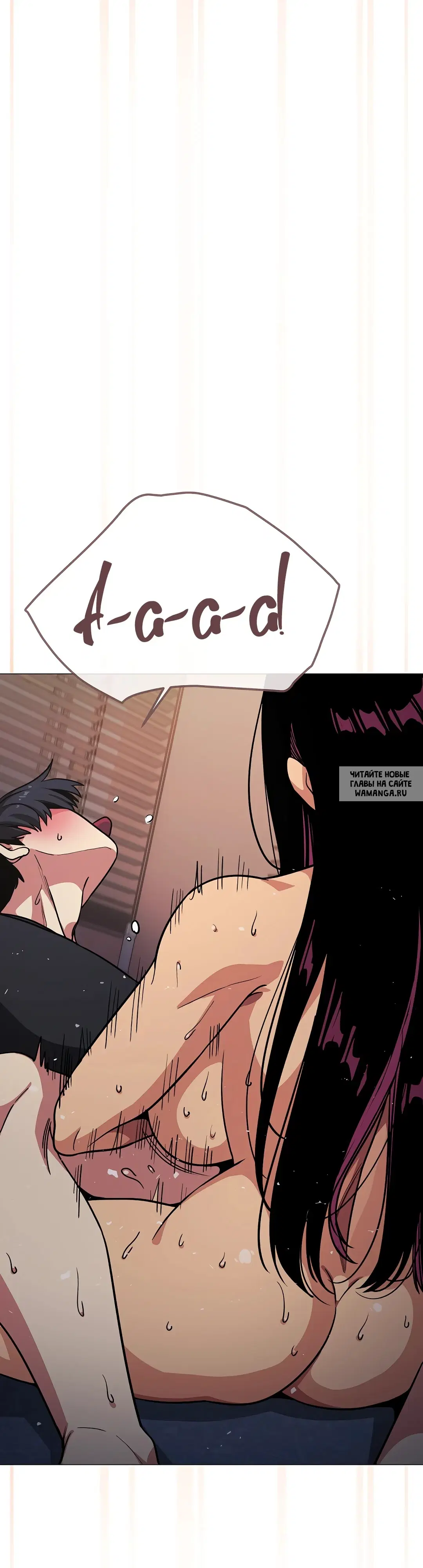 Page 51.000