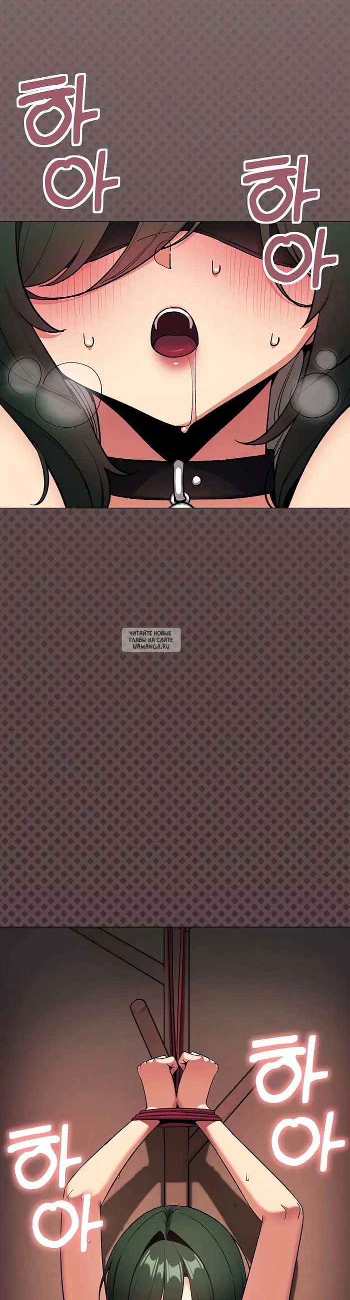 Page 51.000