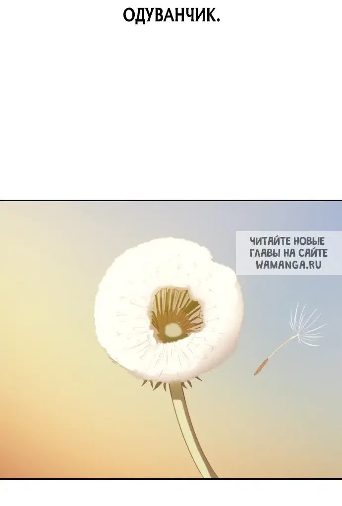 Page 80.000