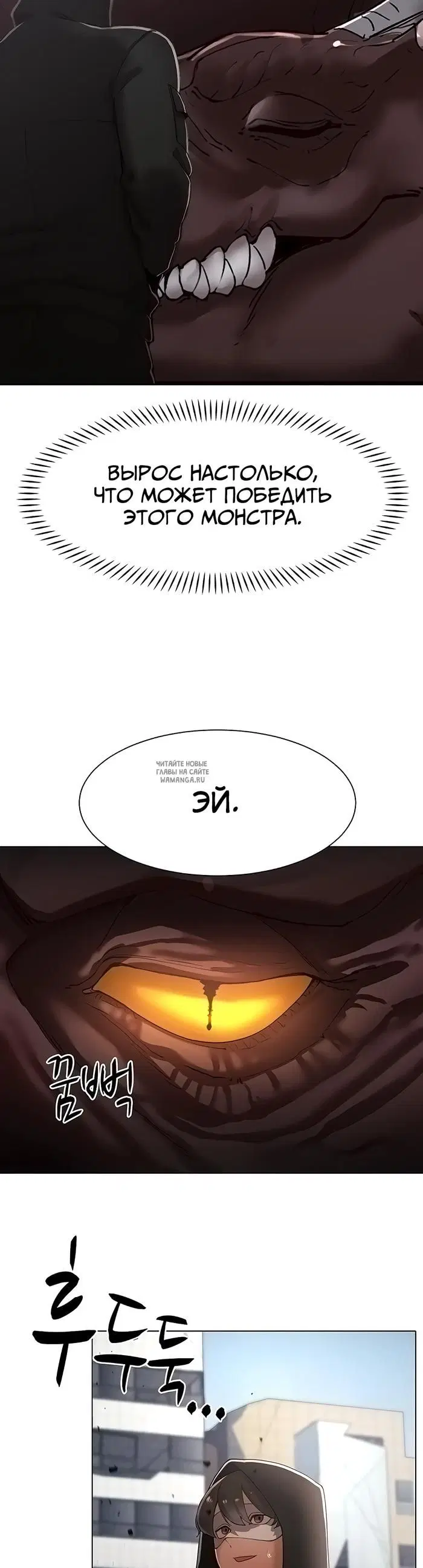 Page 38.000