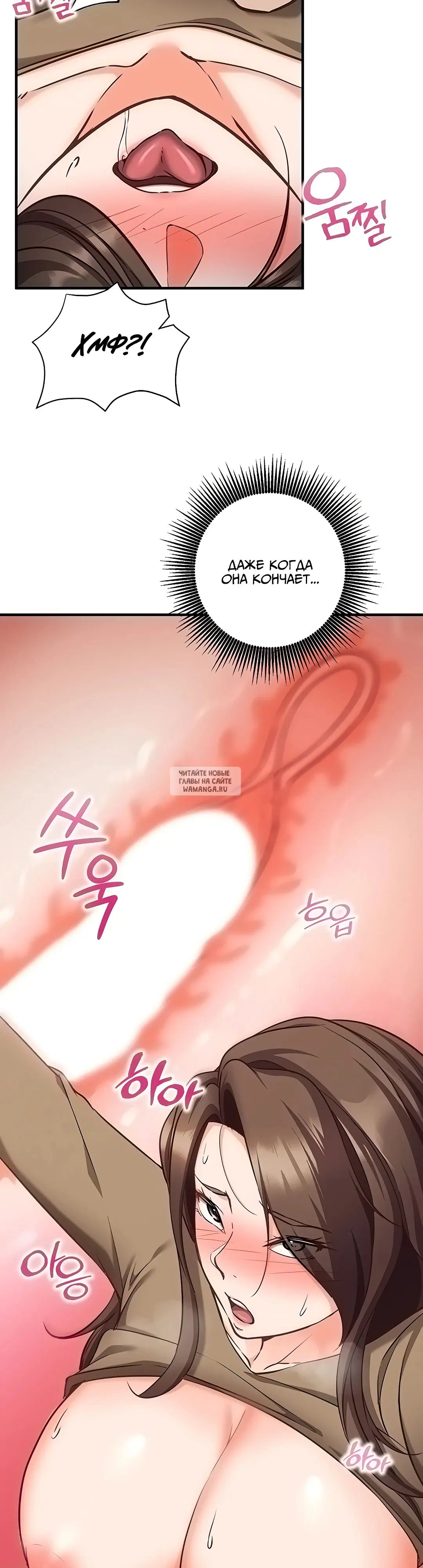 Page 51.000