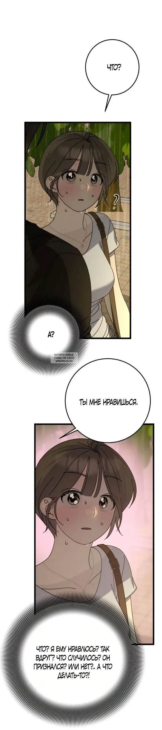 Page 24.000