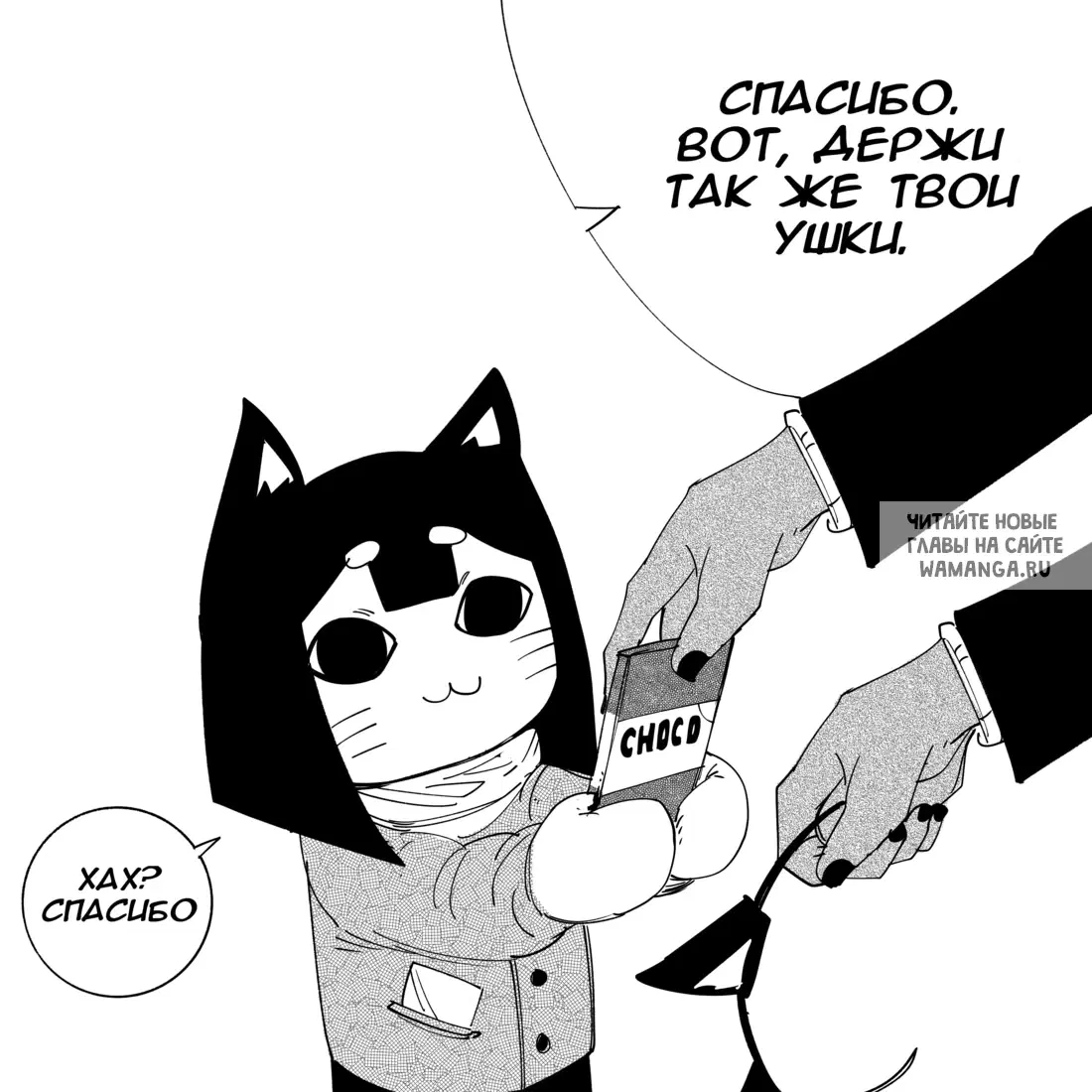 Page 3.000