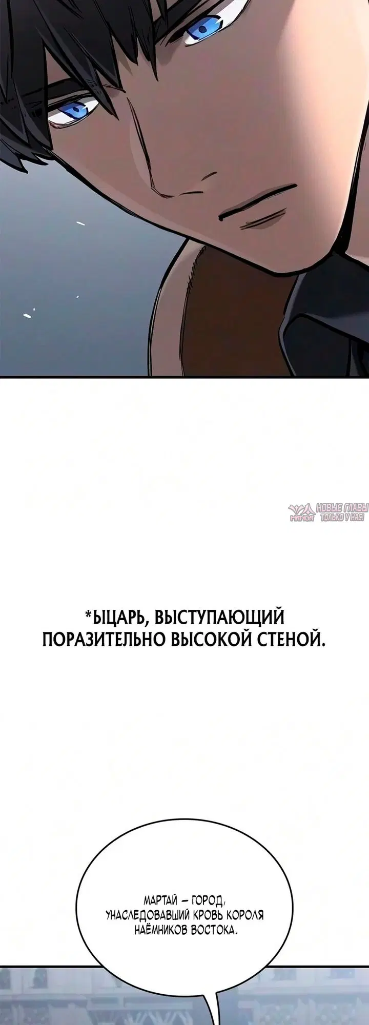 «Рыцарь, проживающий один и тот же день», глава 112, страница 60.000000000