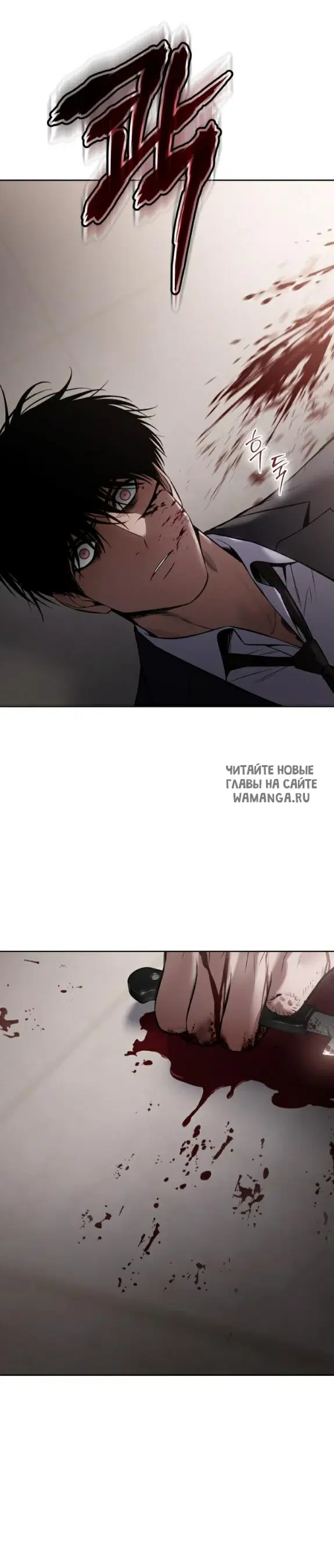 Page 55.000