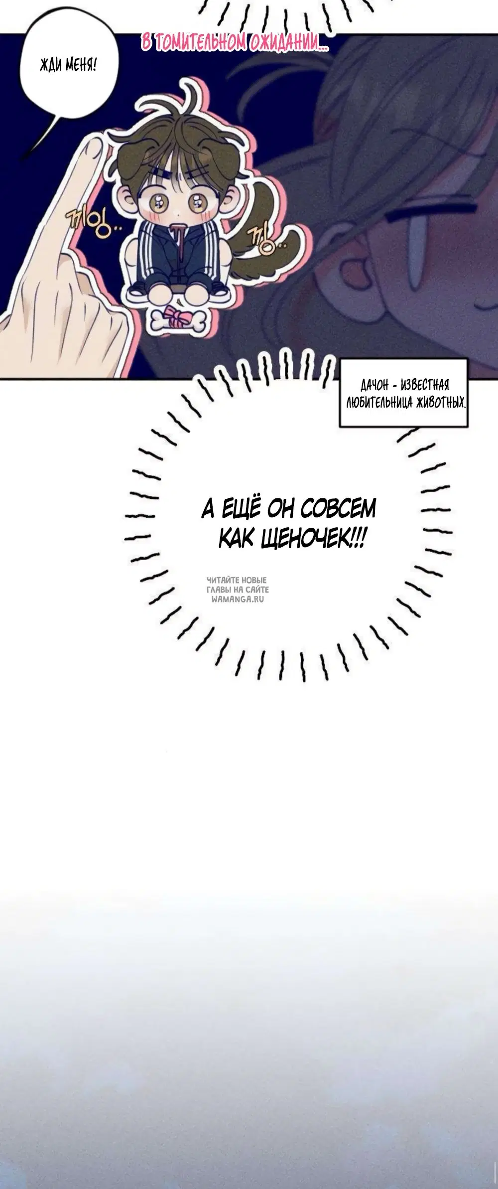 Page 36.000
