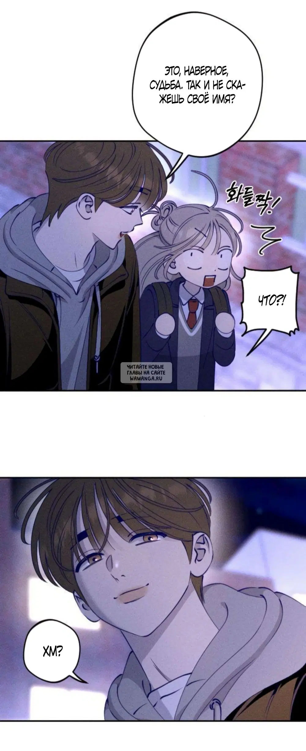 Page 31.000