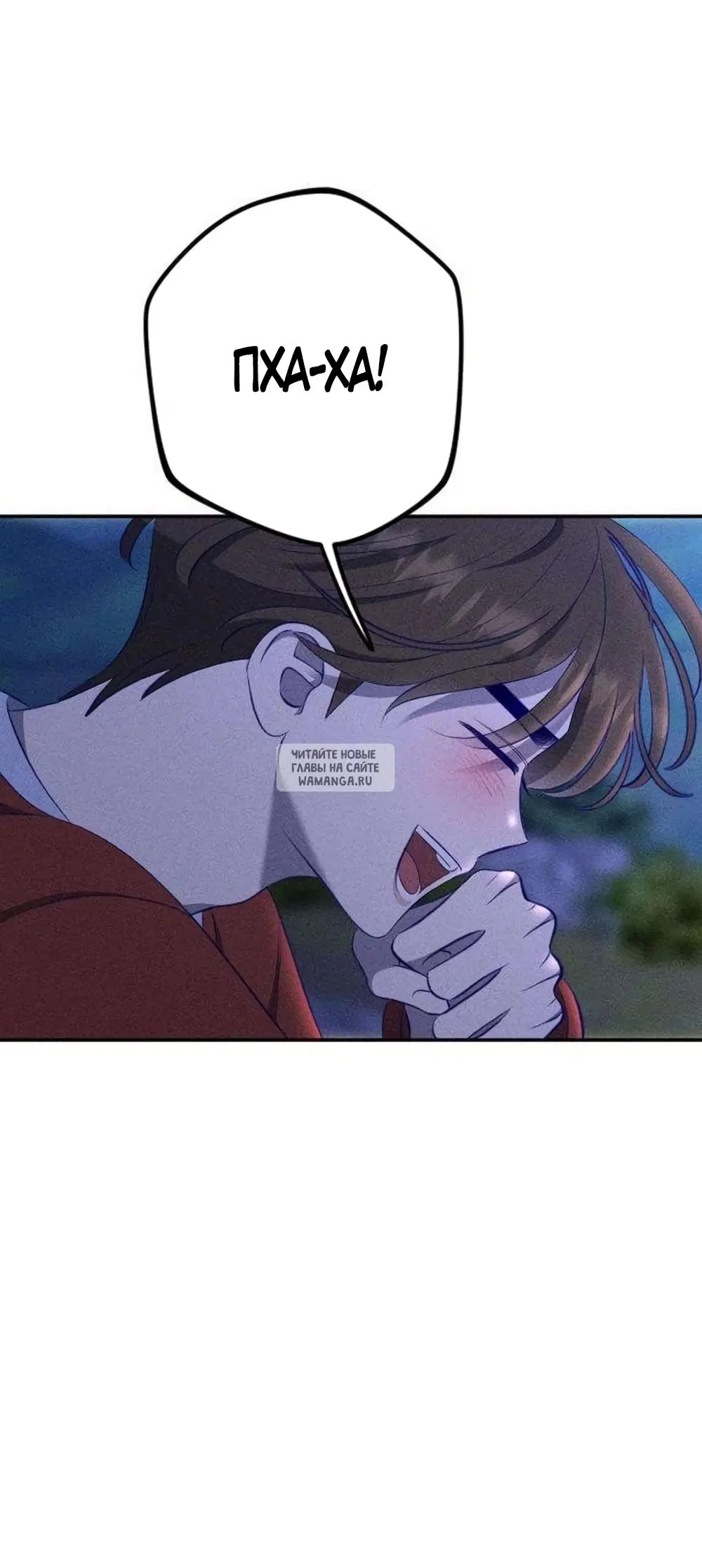 Page 41.000