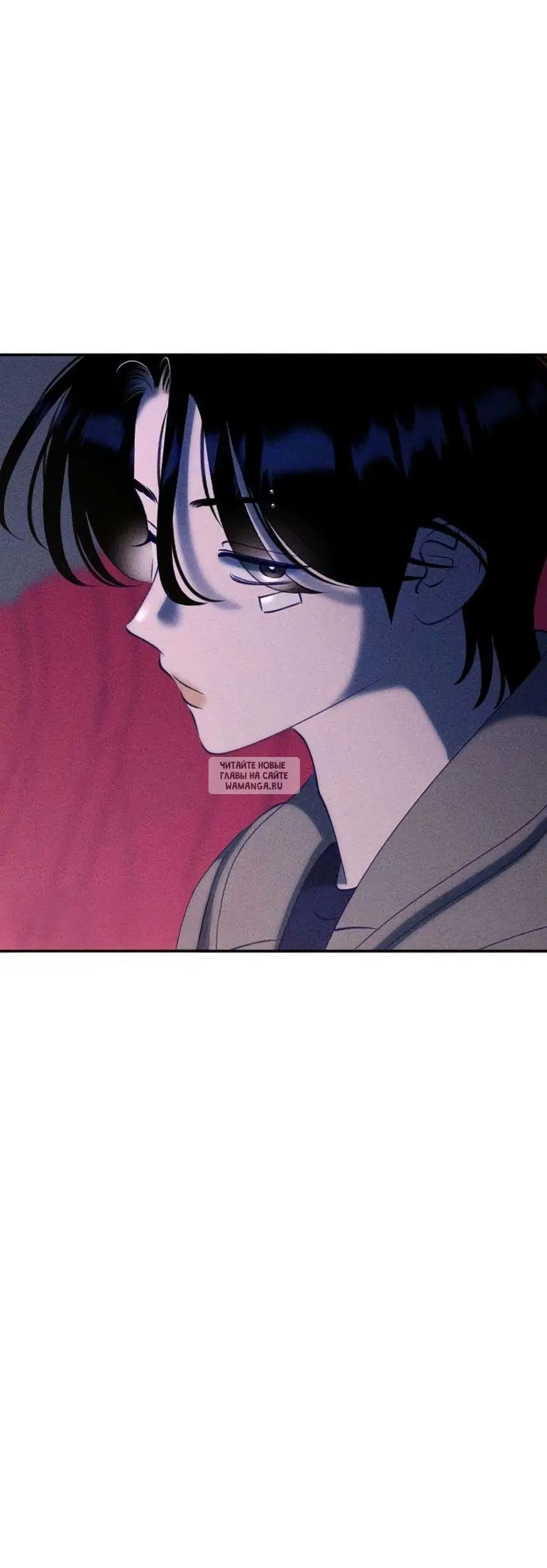 Page 51.000