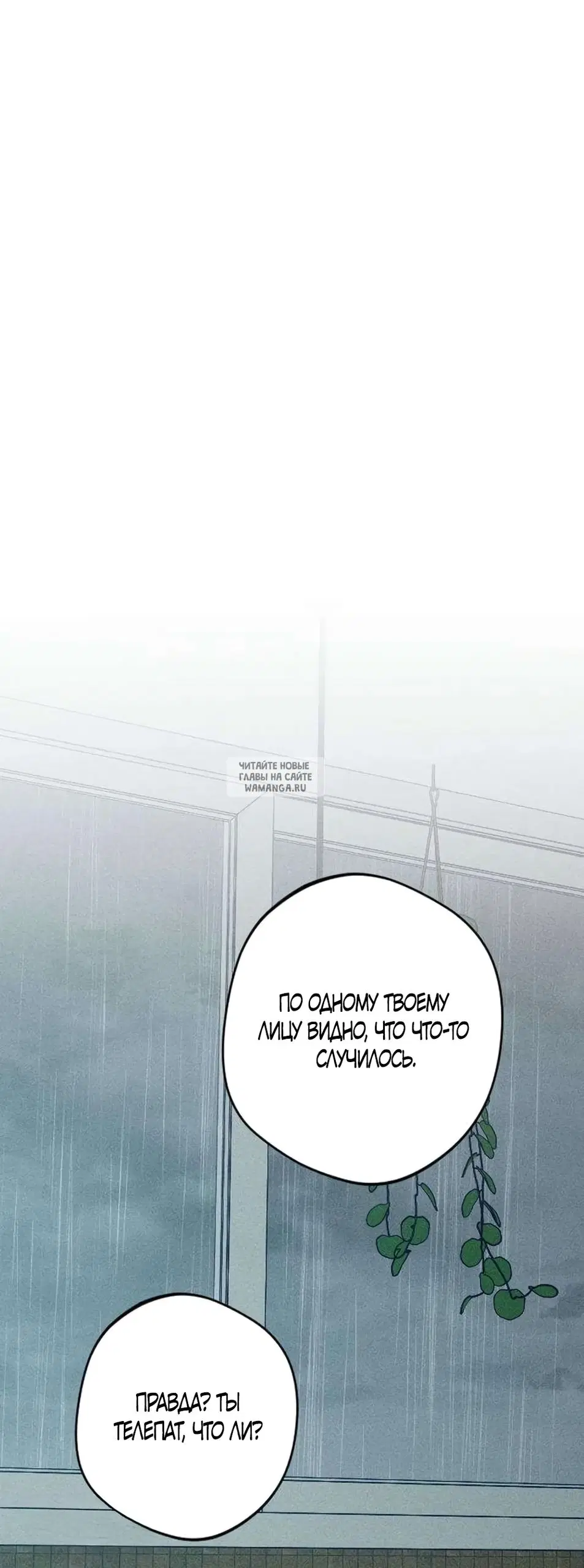 Page 51.000