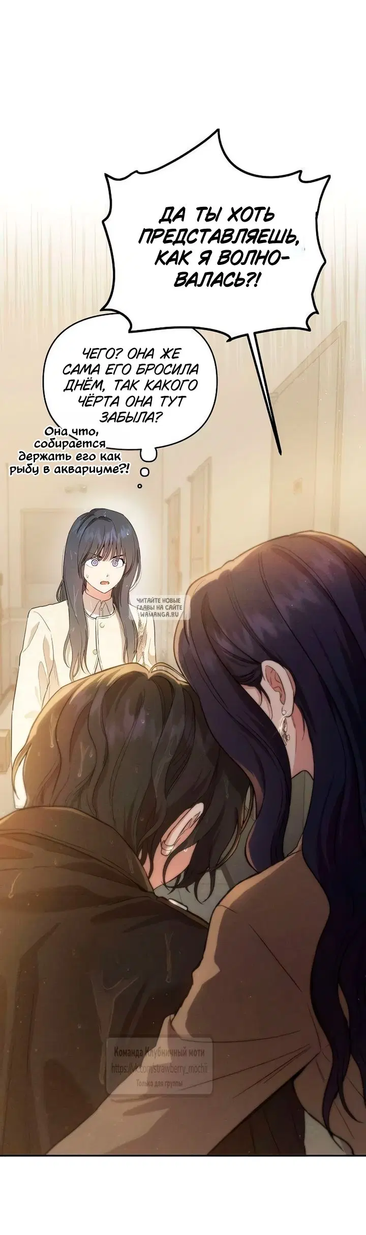 Page 51.000