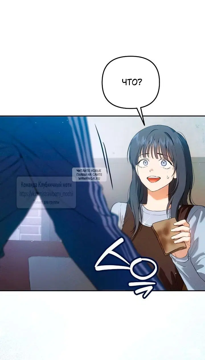 Page 51.000