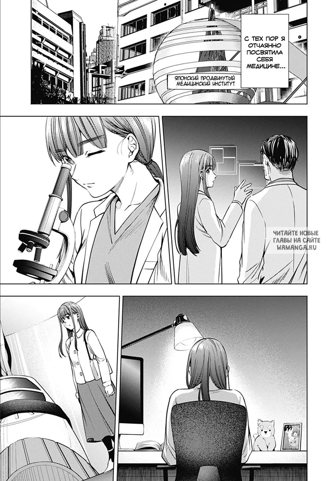 Page 13.000