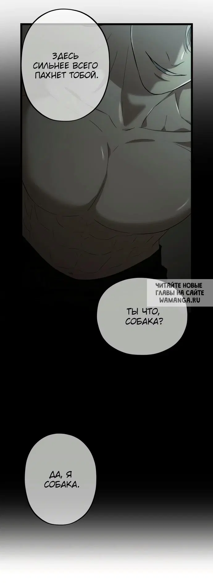 Page 25.000