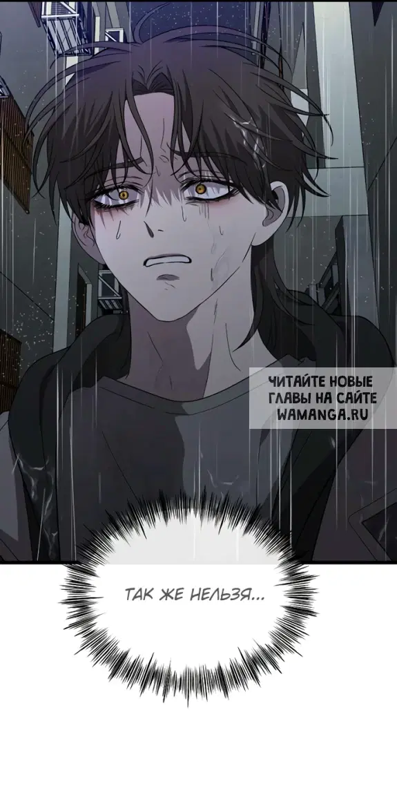 Page 43.000