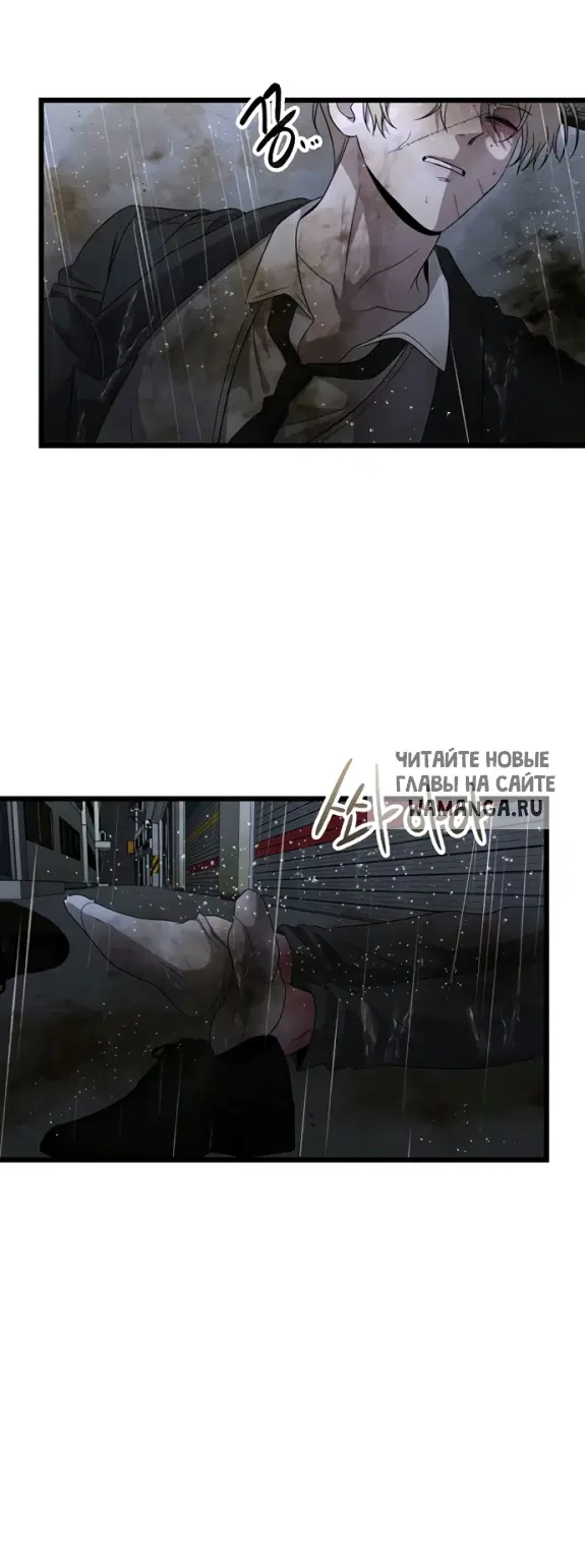 Page 61.000