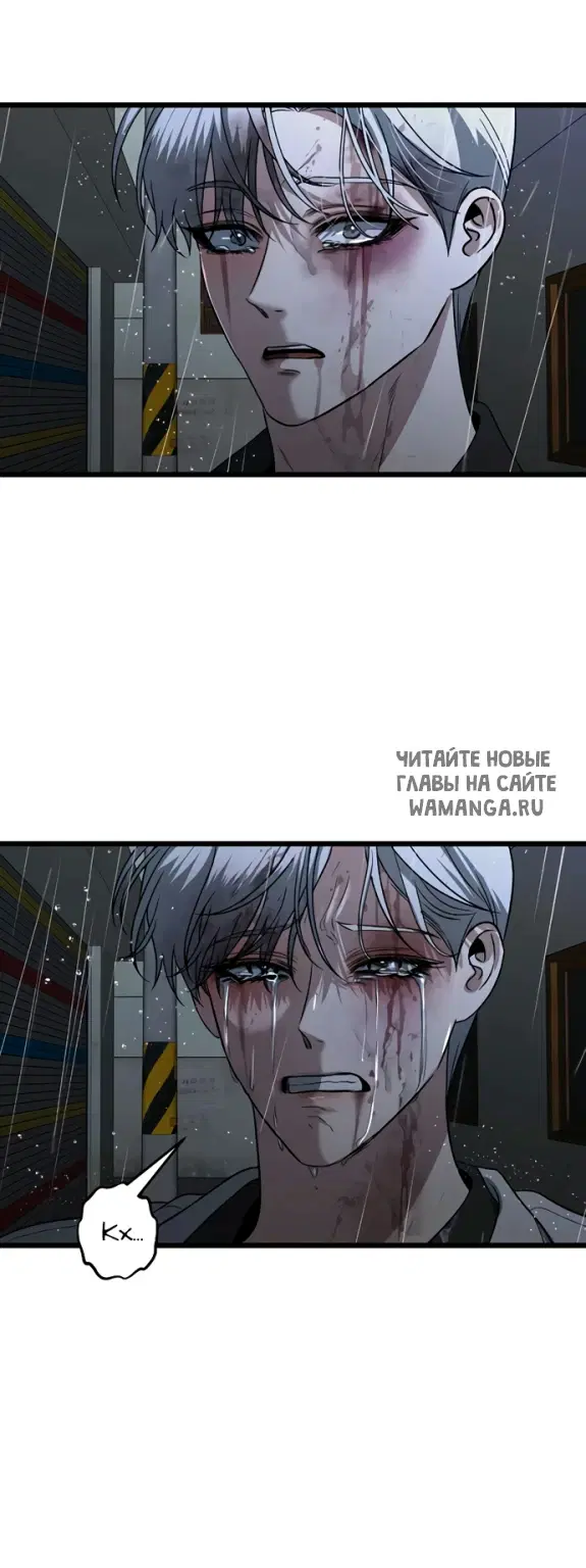 Page 81.000
