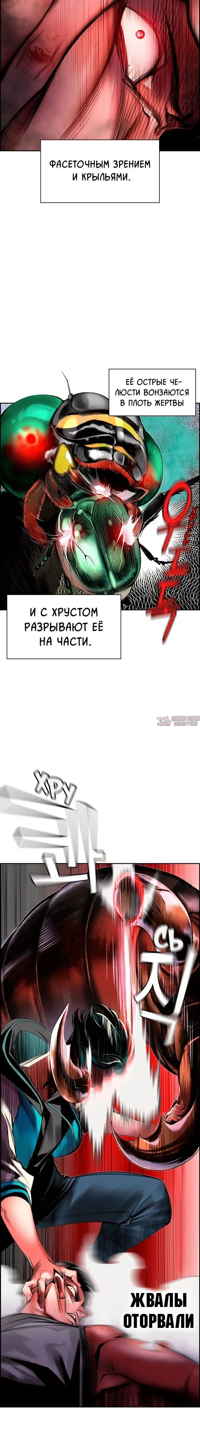 Page 4.001
