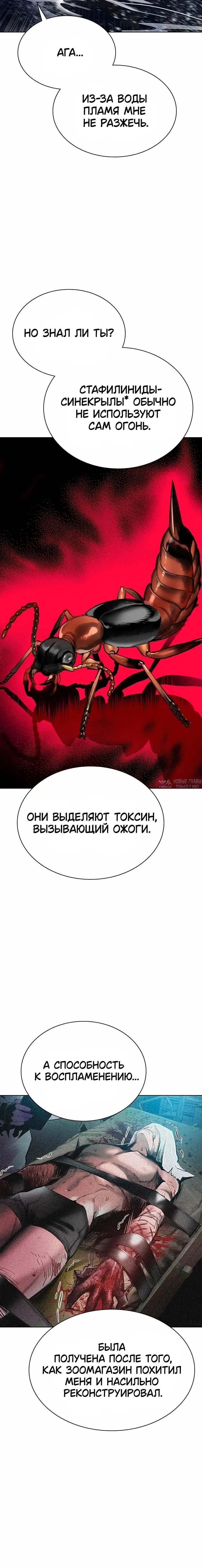 Page 5.001