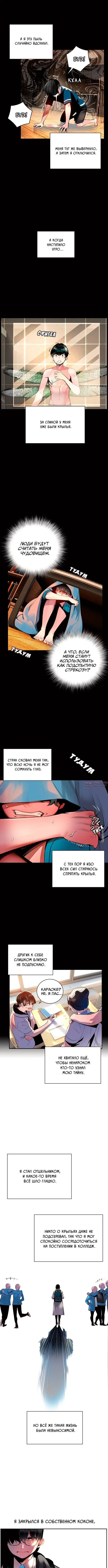 Page 7.000