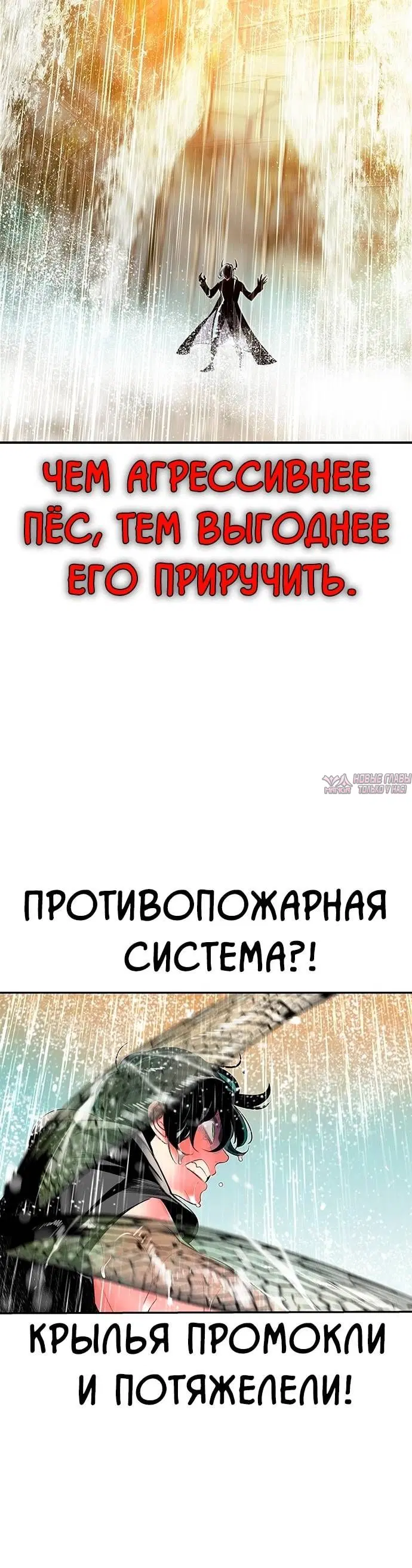 Page 8.001