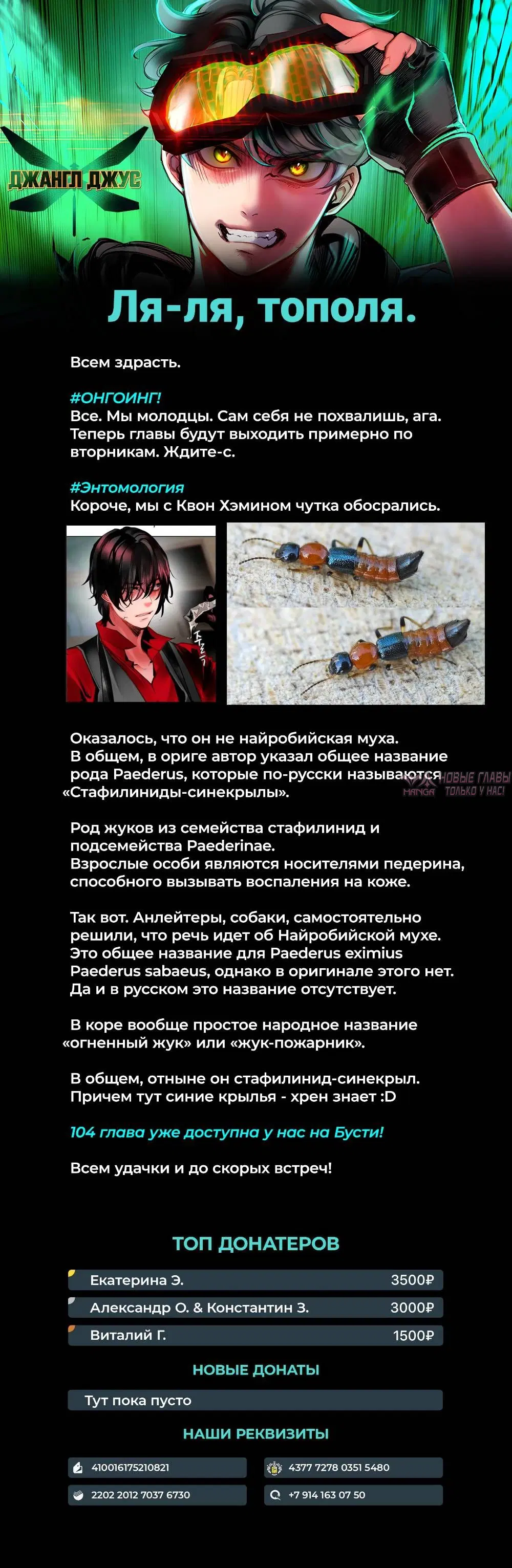 Page 16.000
