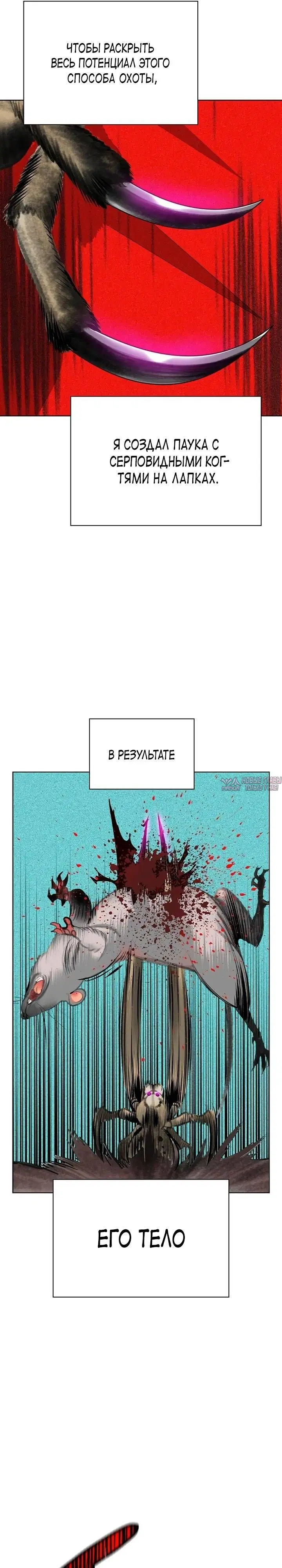 Page 17.000