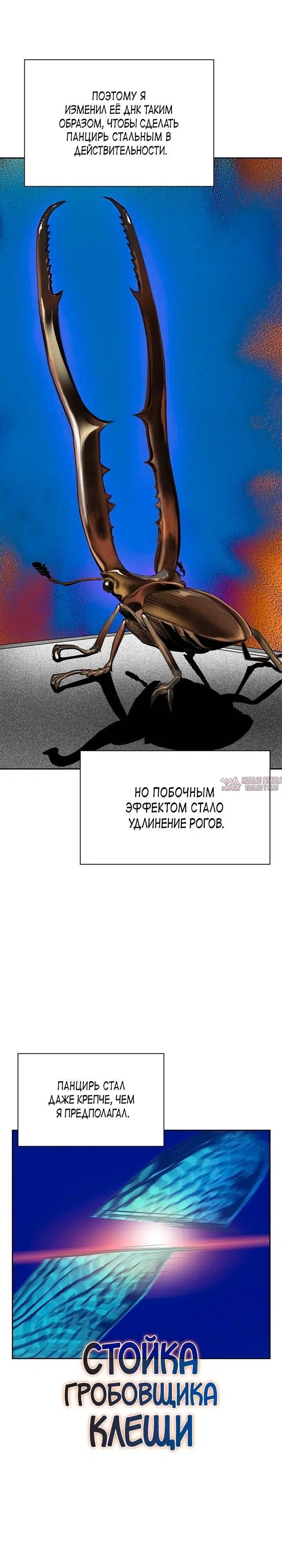 Page 17.000