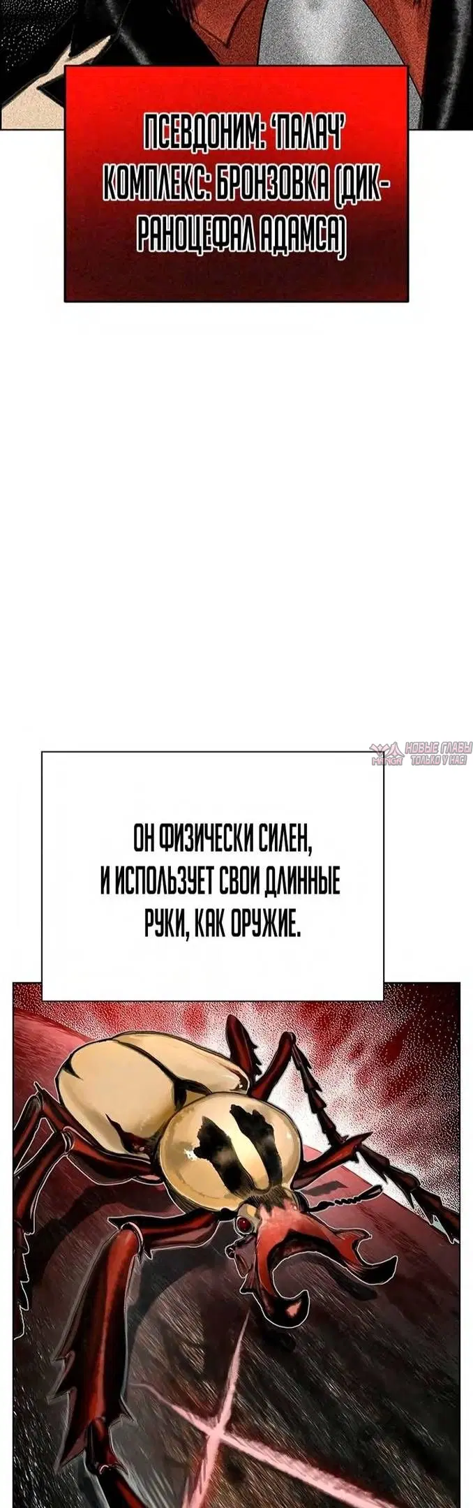 Page 19.000