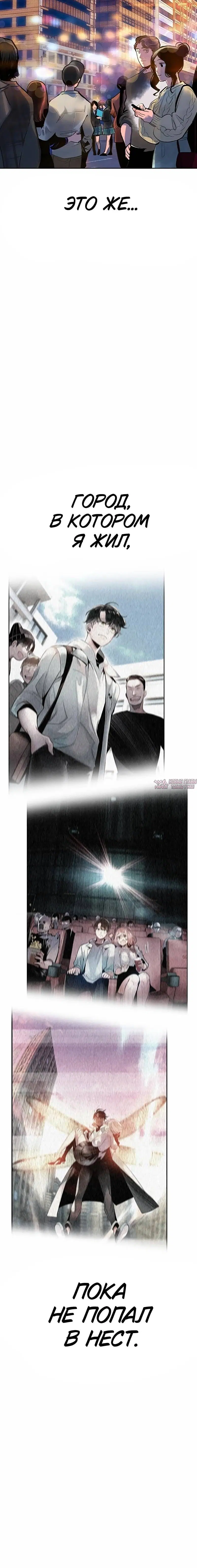 Page 11.001