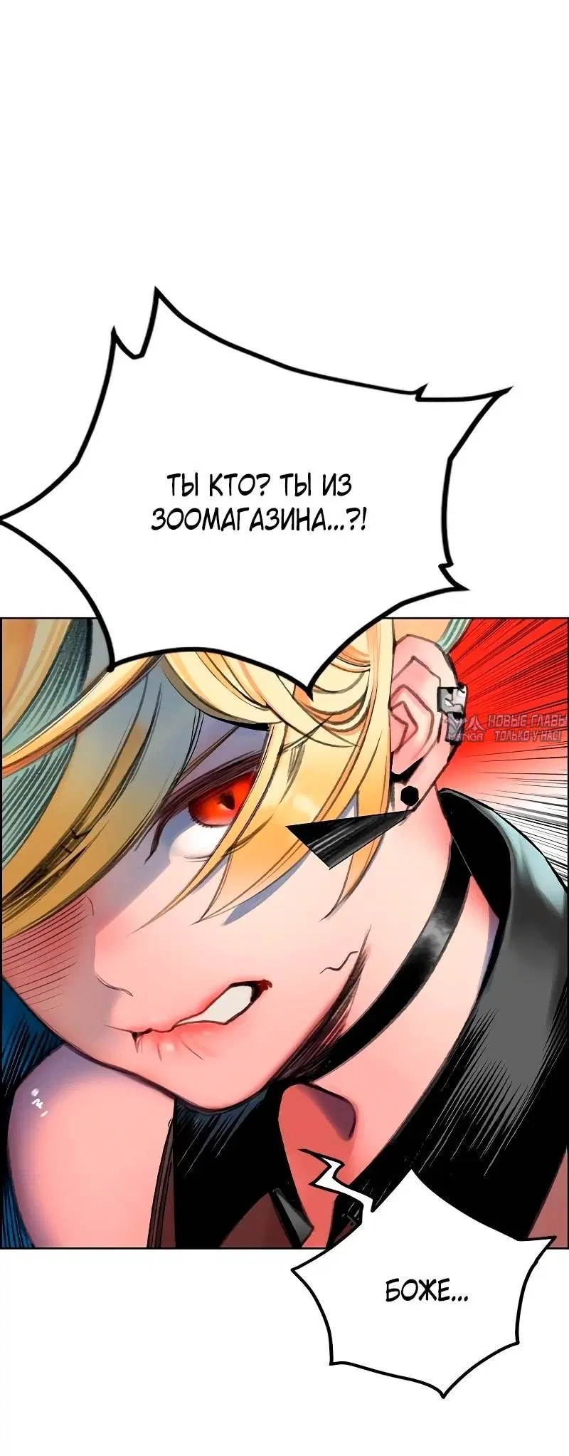 Page 28.000