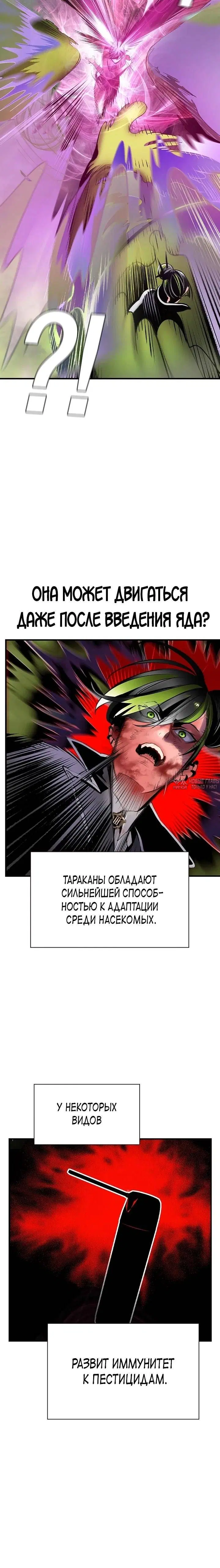 Page 31.000