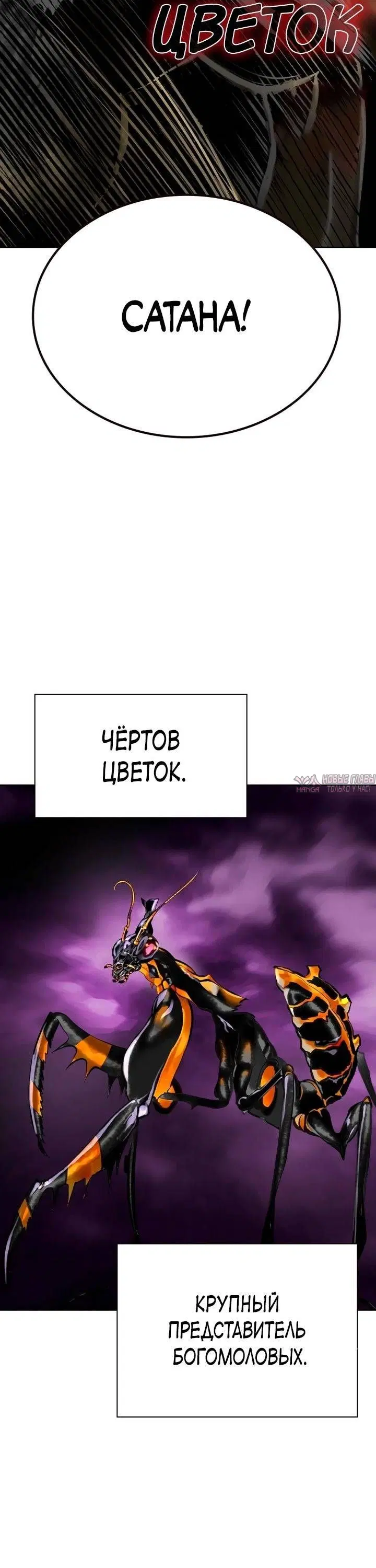 Page 31.000