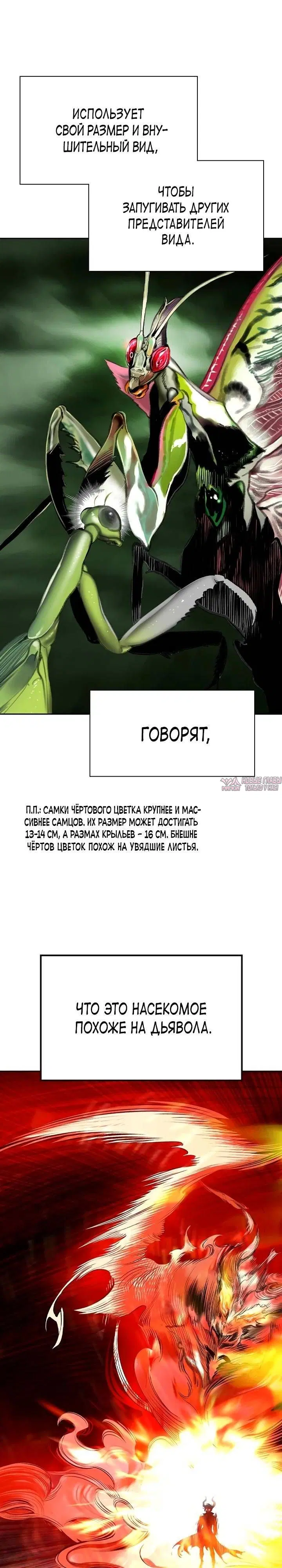 Page 32.000